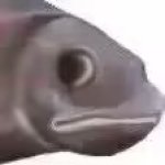 滑铲