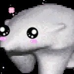 ylmsn